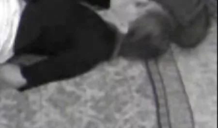 Li Monroe, Zoey مونرو بیش از, جفت,سه فیلم سکسی پورن استارها