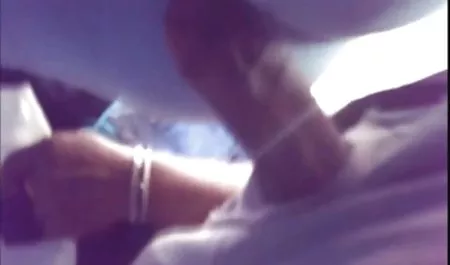 و جلسه بازی, سکس ایلونا استالر لزبین, با کارول و گربه